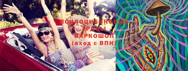 ГАЛЛЮЦИНОГЕННЫЕ ГРИБЫ Карпинск