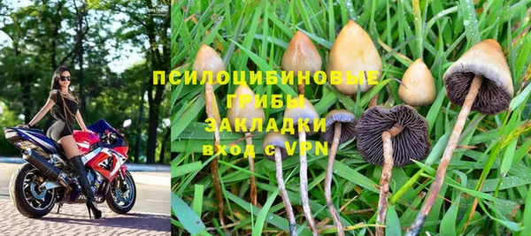 ГАЛЛЮЦИНОГЕННЫЕ ГРИБЫ Карпинск